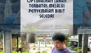 Rutan Kelas IIB Rantau Optimalkan Lahan Terbatas Melalui Penyemaian Bibit Seledri