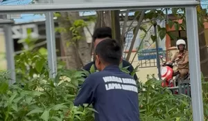Perawatan Tanaman Kangkung dan Selada Hidroponik di Kebun SAE Lapas Kelas IIB Amuntai