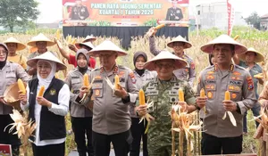 Polda Jatim Bersama Gubernur Jatim Dan Polresta Sidoarjo  Gelar Panen Raya Jagung Kuartal I 2026