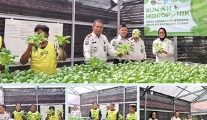 ‎Persiapan Panen Raya, Bapas Muara Teweh konsisten Rawat Hidroponik Pakcoy