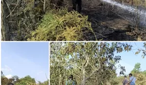 Kapolsek Tualang Turun langsung memadamkan Api ,Akibat Kebakaran Lahan Dekat Permumahan Perawang Barat.