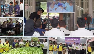 ‎Meriahkan Giat Panen Raya, Bapas Muara Teweh Panen Hidroponik Pakcoy