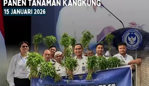 Panen Raya Serentak, Rutan Tanjung Pura Sukses Panen Tanaman Kangkung