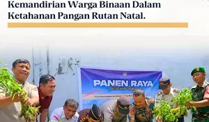Panen Raya Serentak, Wujudkan Kemandirian Warga Binaan Dalam Ketahanan Pangan Rutan Natal