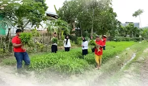 Lapas Padangsidimpuan Panen Sayuran di Lahan Sarana Asimilasi dan Edukasi Bersama Peserta Magang