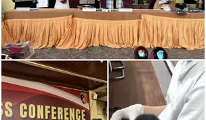 Polisi Bongkar Jual Beli Satwa yang Dilindungi di Riau, Owa Dijual Rp 10 Juta