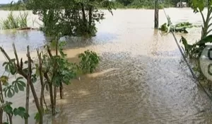 Drainase Buruk Kedung Lotong Pebayuran  Dikepung Banjir