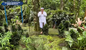 Tanam Bibit Pohon di Sumber Mata Air, Achmad Hidayat: Wujud Terimakasih ke Alam Semesta