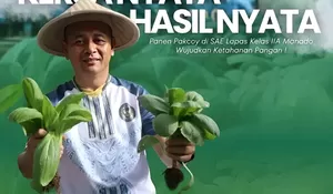 Kerja Nyata Hasil Nyata, Panen Pakcoy di SAE Lapas Kelas IIA Manado Wujudkan Ketahanan Pangan Nasional