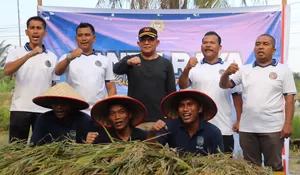 Program Ketahanan Pangan, Kalapas Rantauprapat dan Jajaran Panen Padi di Lahan Produktif