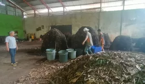 UPS Limo Depok Produksi 30 Ton Kompos Sebulan