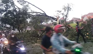 Depok 28 Kali Diamuk Angin Kencang