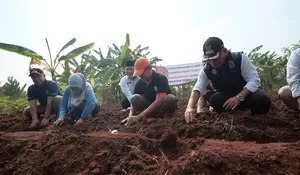 Wakil Walikota Depok Tanam 5.000 Cabai