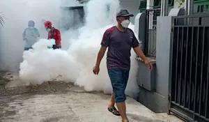 Awas DBD Merebak Saat El Nino, Januari-Mei Sudah 488 Warga Depok Dirawat