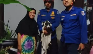 Kucing Masuk Sumur, Damkar Depok Turun Gunung