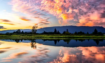 Jika Lelaki Mendapatkan Bidadari di Surga, Lalu Apa yang Didapatkan Wanita? Inilah Penjelasan Lengkapnya