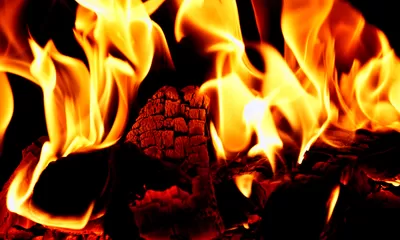 Kenali Kriteria Laki-laki Calon Penghuni Neraka, Cara Ampuh Masuk Neraka Gunakan Jalur 'Flash Sale'