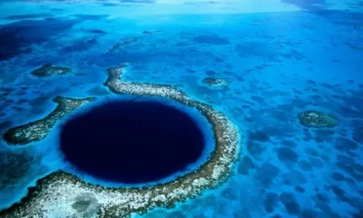 Ilmuwan Mengumpulkan Virus Jenis Baru dari Palung Mariana, Begini Penampakannya