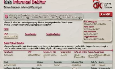Panduan Cek Skor Kredit di Idebku OJK dan Cara Perbaiki Nama yang Cacat