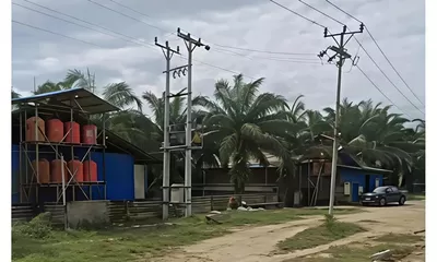 Serangan Lalat Diduga Akibat Peternakan Ayam Resahkan Warga Dusun Lintah