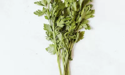 7 Manfaat Seledri bagi Kesehatan, Salah Satunya Mencegah Kanker