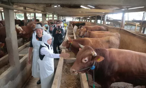 Idul Adha 1444 Hijriah! Bagaimana Hukumnya Patungan untuk Kurban? Ini Penjelasan Buya Yahya