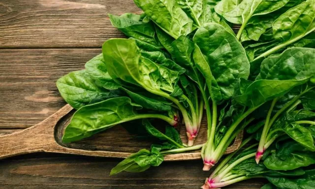 Ternyata Daun Bayam dan Sirih Bisa Bikin Wajah Pucat jadi Berseri, Begini Caranya