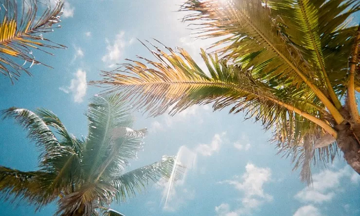 BMKG Imbau Hindari Aktivitas Luar Ruangan Antara Pukul 10.00–16.00 WIB: Waspadai Cuaca Panas Ekstrem