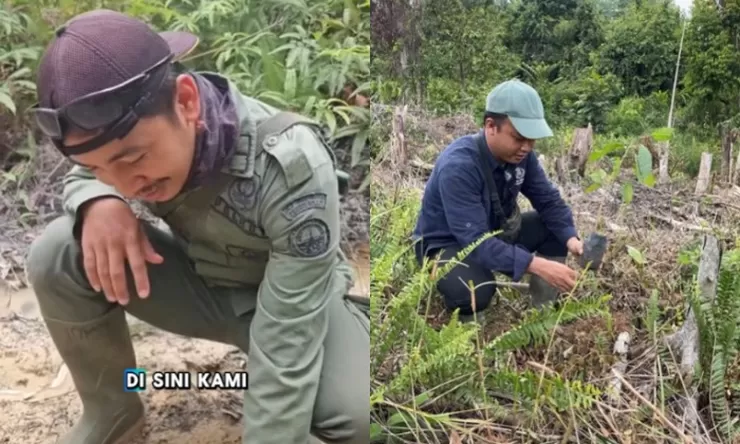 Saat Hutan Lindung di Sumatera Dibayangi Sabotase: TN Tesso Nilo Temukan Ranjau Paku yang Bertebaran di Area Jalan Gajah