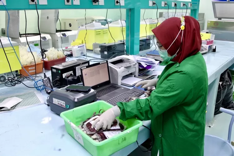 Pengecekan sampel darah