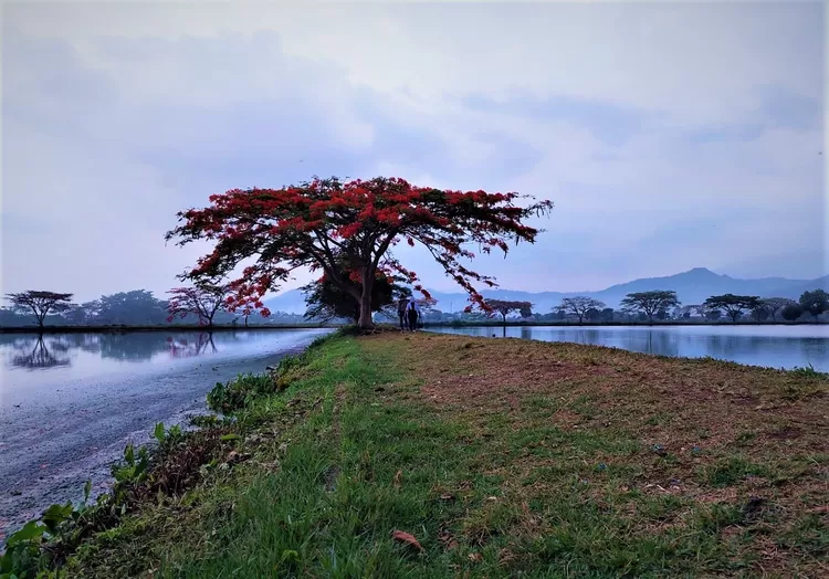 IPAL PDAM Cikoneng, Tempat Instagramable di Bojongsoang Kabupaten Bandung -  Ayo Bandung