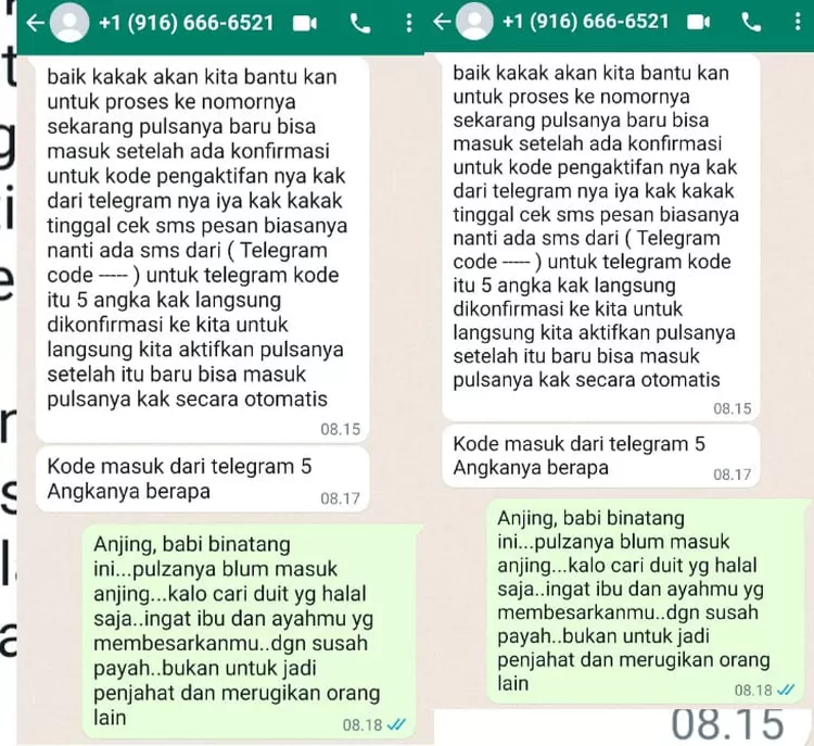 Chat penipuan 