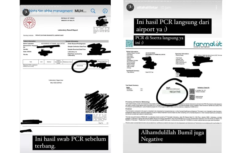 Hasil PCR Atta dan Aurel