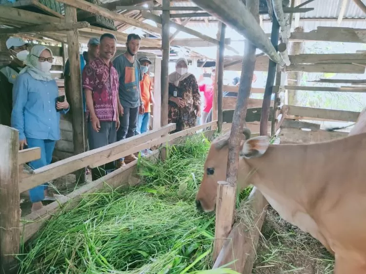 Anggota DPR RI, Hj Sri Kustina 