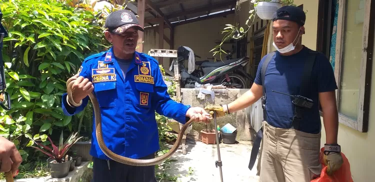 Aksi Tim Rescue Diskar PB Kota Bandung