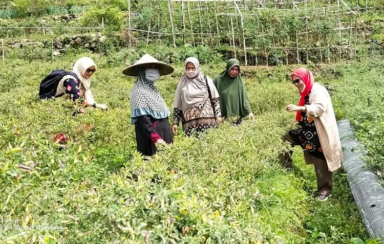 Perkaya Kuliner Khas Rongkong, DP3AP2KB dan Dinas Pertanian Berdayakan Kelompok Perempuan