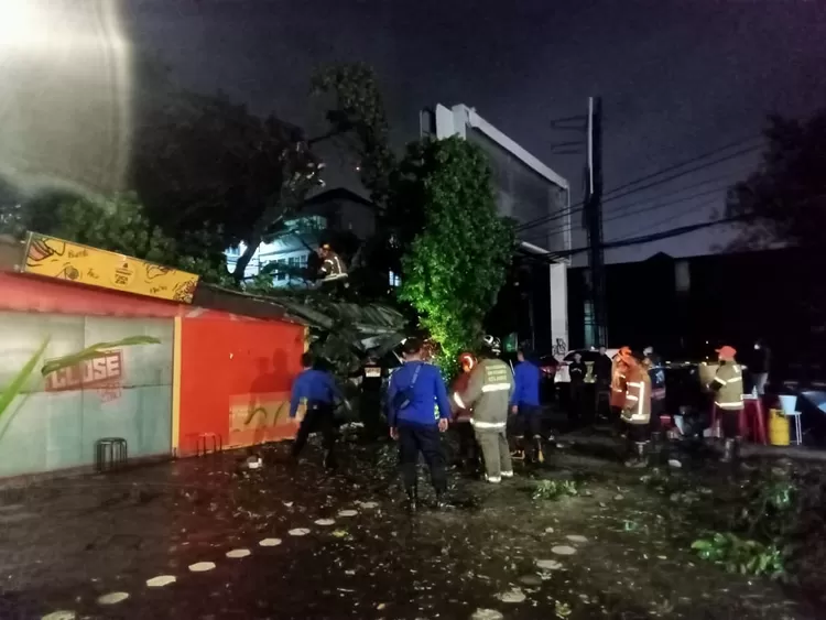 Penanganan pohon tumbang di Jalan. L. L. R. E Martadinata