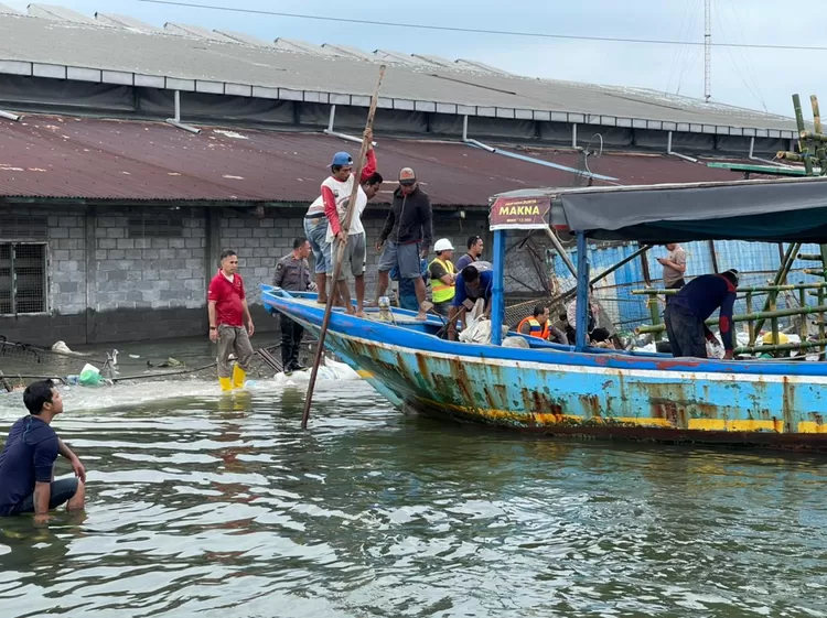 Pelindo Regional III Tanjung Emas telah menyiagakan sedikitnya 32 unit mesin pompa air hingga kapasitas 800 lt/detik, tersebar di sejumlah titik-titik rawan banjir rob