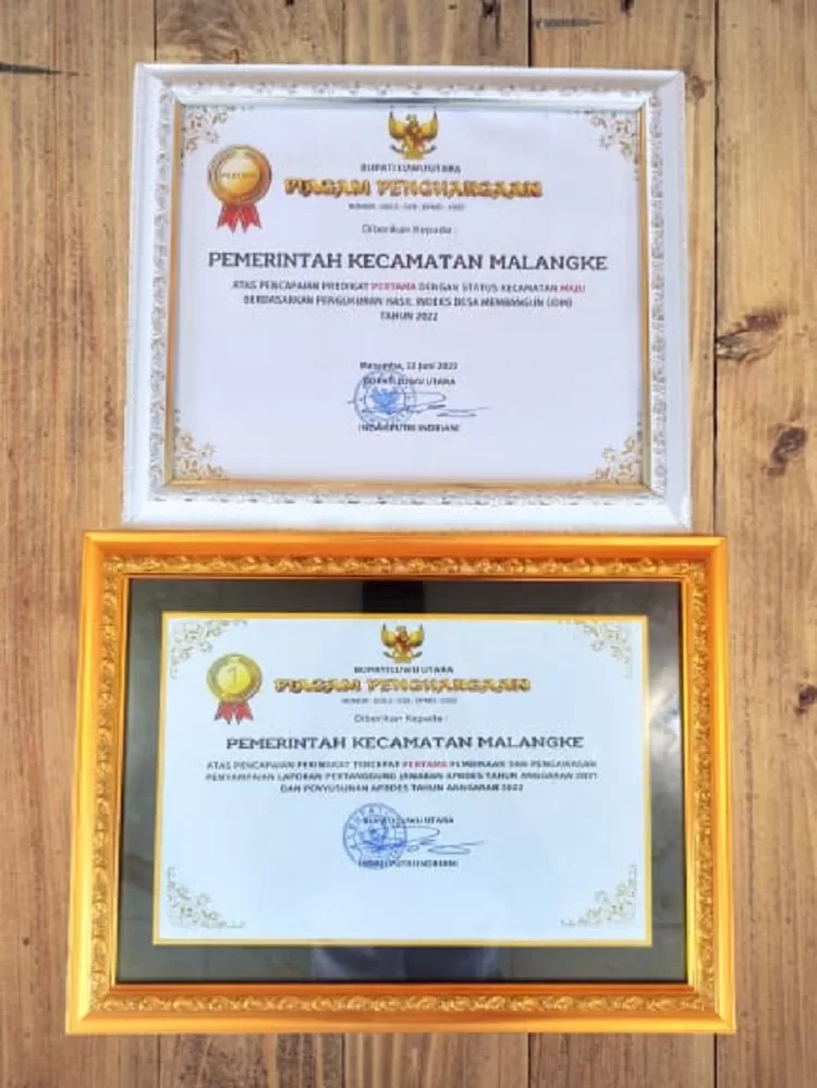 Ekspose IDM 2022, Kecamatan Malangke Terima Dua Penghargaan