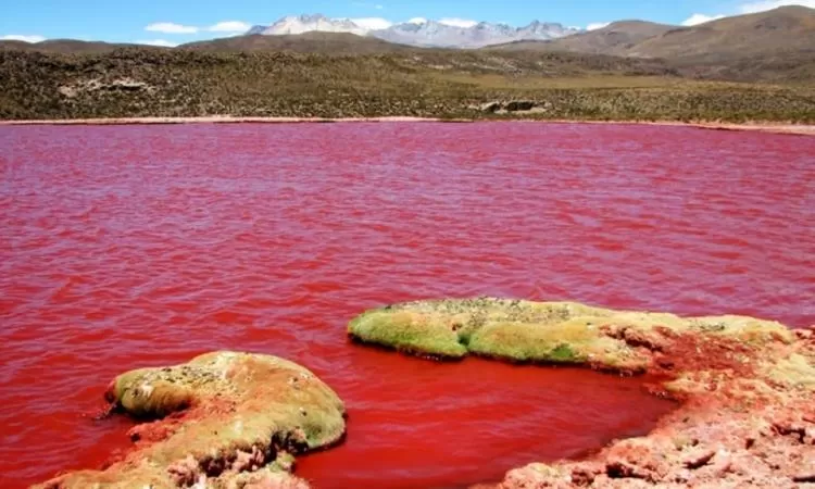 Danau Merah Rimba Candi