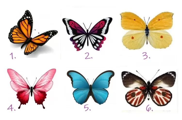 Tes kepribadian pilih salah satu kupu-kupu pada gambar untuk temukan lebih banyak hal tentang diri.