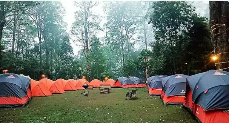 Camping di Mojosemi Forest Park