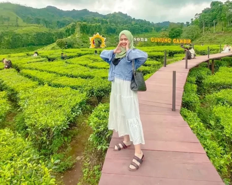  Kebun Teh Gunung Gambir 