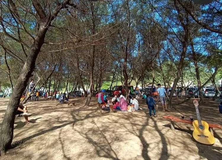 Spot foto dan pose piknik di area pohon cemara Pantai Teleng Ria Pacitan 