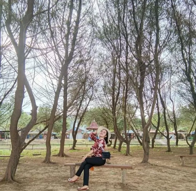 Spot foto dan pose solo duduk di area pohon cemara Pantai Teleng Ria Pacitan