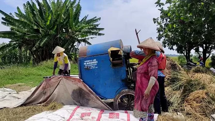  Persewaan peralatan pertanian menaikan tarif sewa imbas dari harga BBM. 