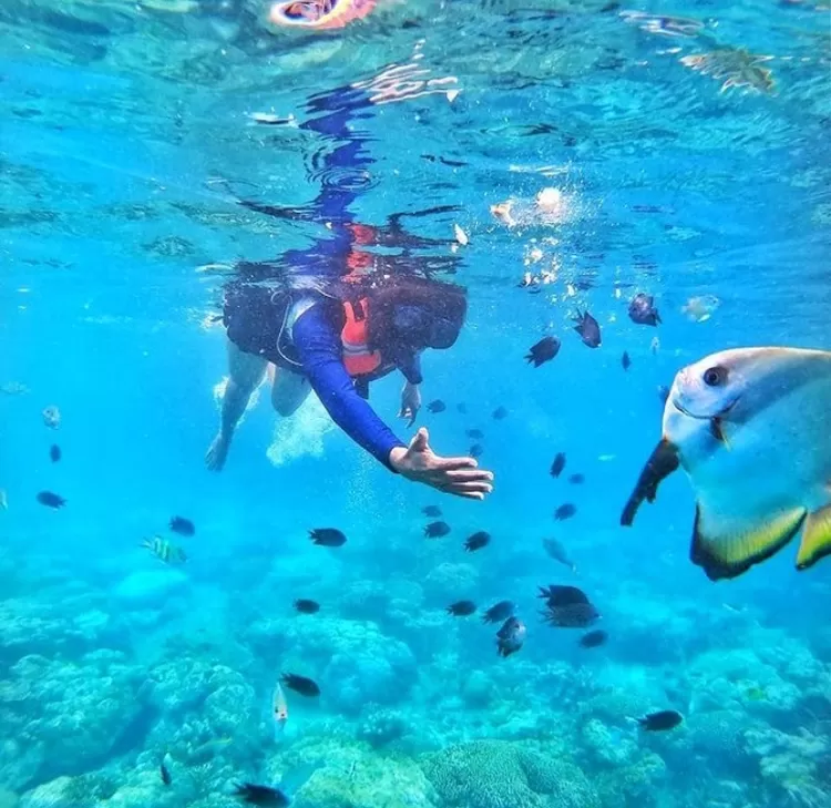 Pulau Maratua, destinasi wisata yang punya spot diving dan snorkling terbaik di Berau, Kalimantan Timur.