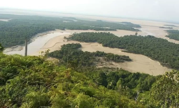 Menelusuri danau Sentarum