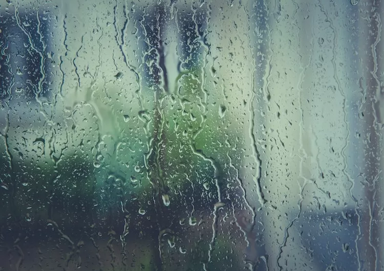 Melihat Rintik Hujan Dibalik Jendela