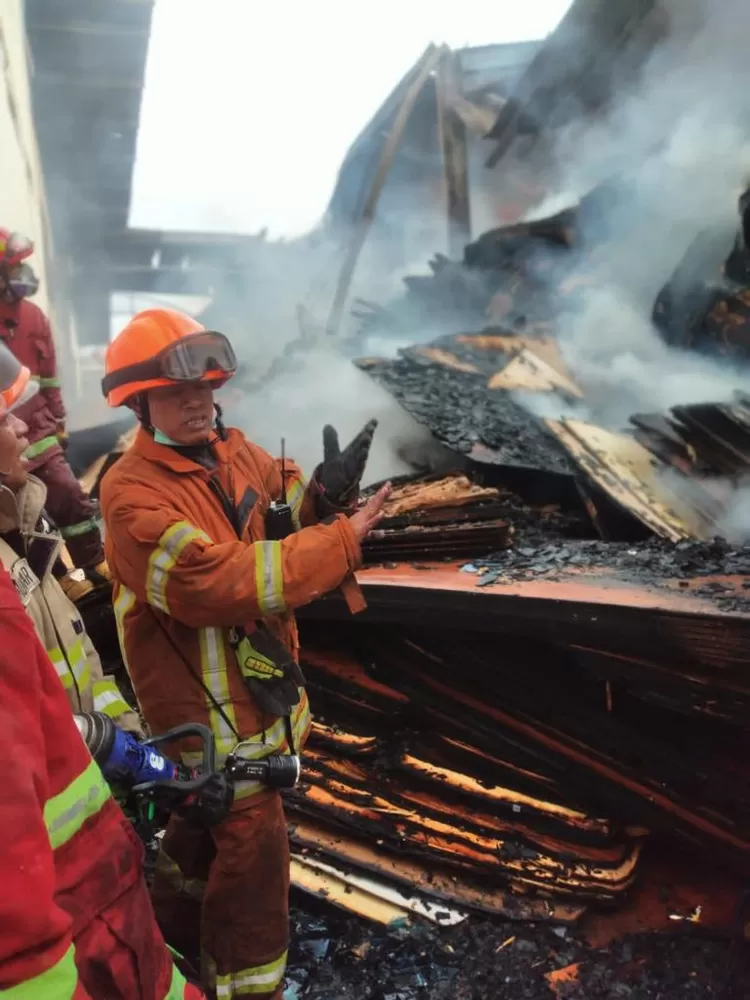 Kebakaran Besar Melanda Pabrik Triplek, Kerugian Diperkirakan Miliaran Rupiah